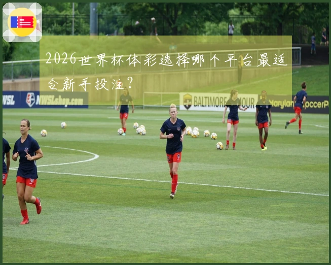 2026世界杯体彩选择哪个平台最适合新手投注？