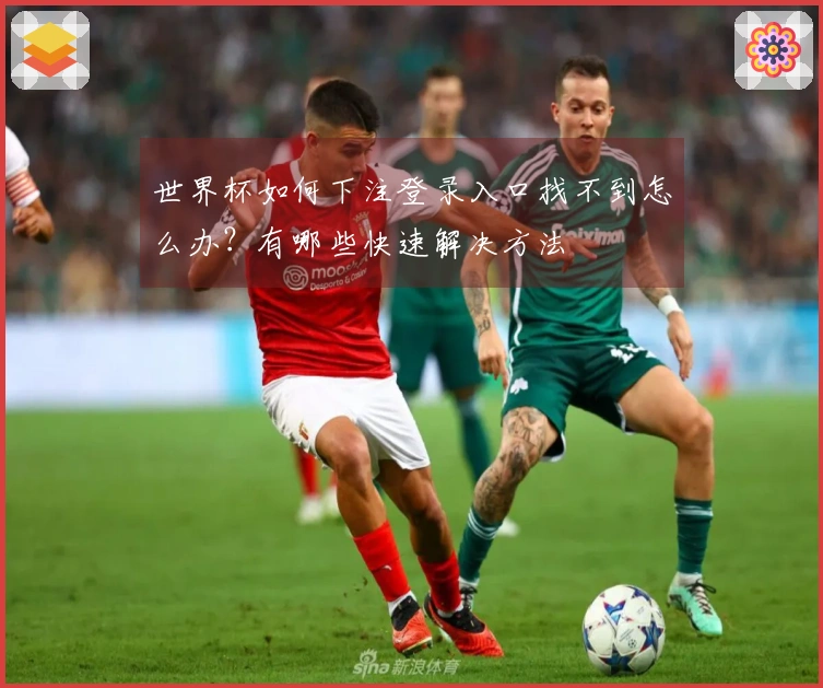 世界杯如何下注登录入口找不到怎么办？有哪些快速解决方法